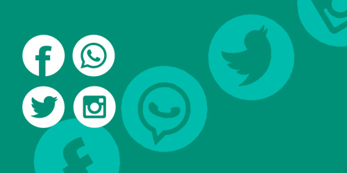 Curso ACF WordPress - Exiba os links das redes sociais em todo site