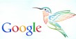 Beija-Flor do Google