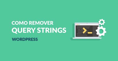 Como remover query strings de recursos estáticos